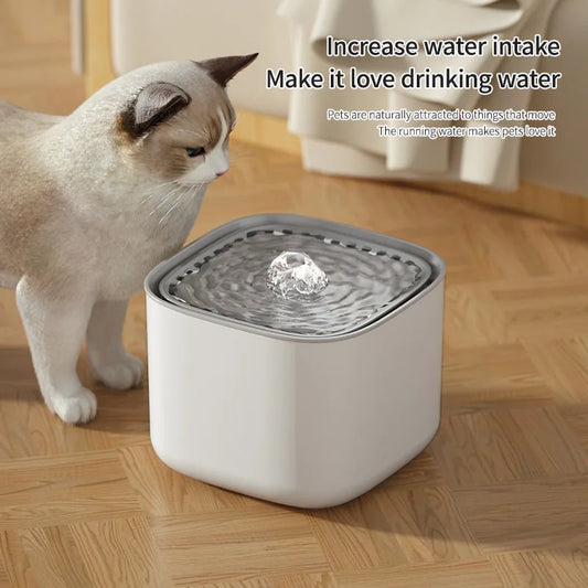 Pet Water Fountain