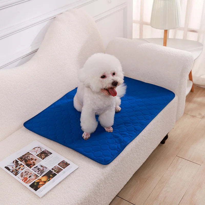 Soft Pet Blanket