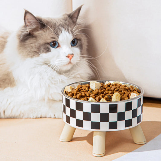 Pet Feeding Bowl