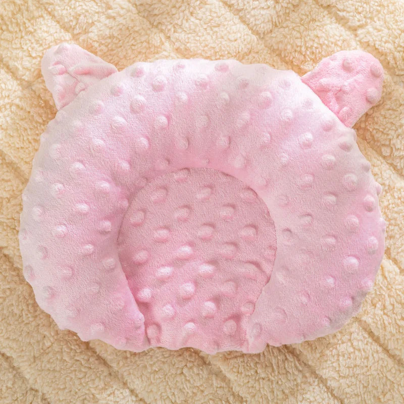 Interactive Pet Toy
