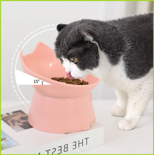 Pet Feeding Bowl