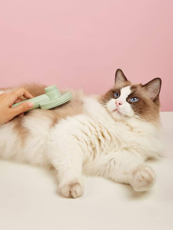 Cleaning & Care