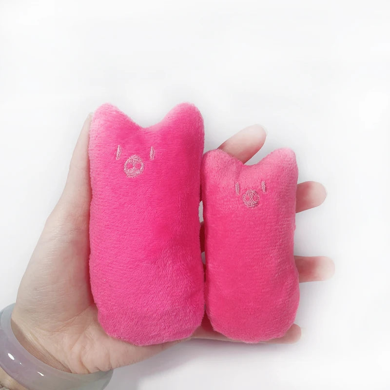 Interactive Pet Toy