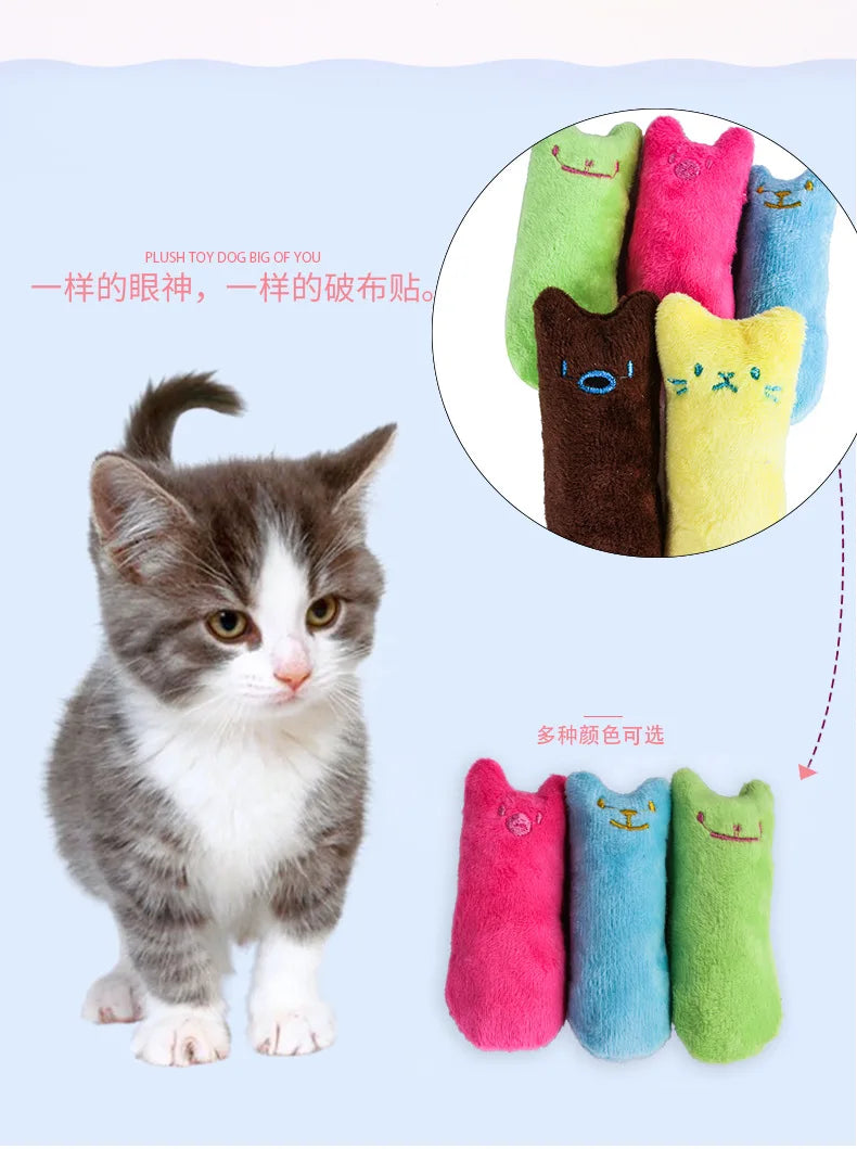 Interactive Pet Toy