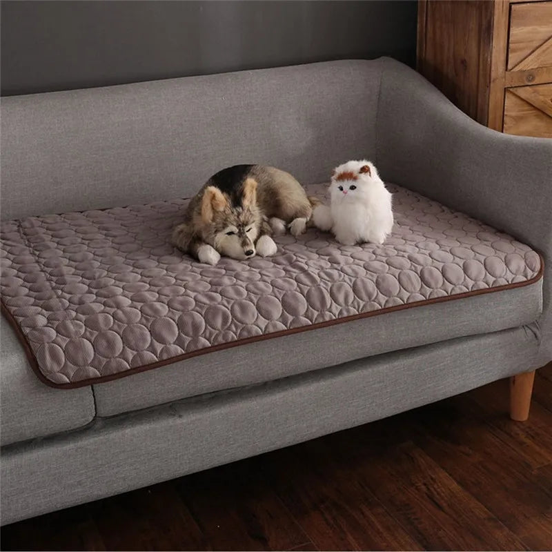 Soft Pet Blanket