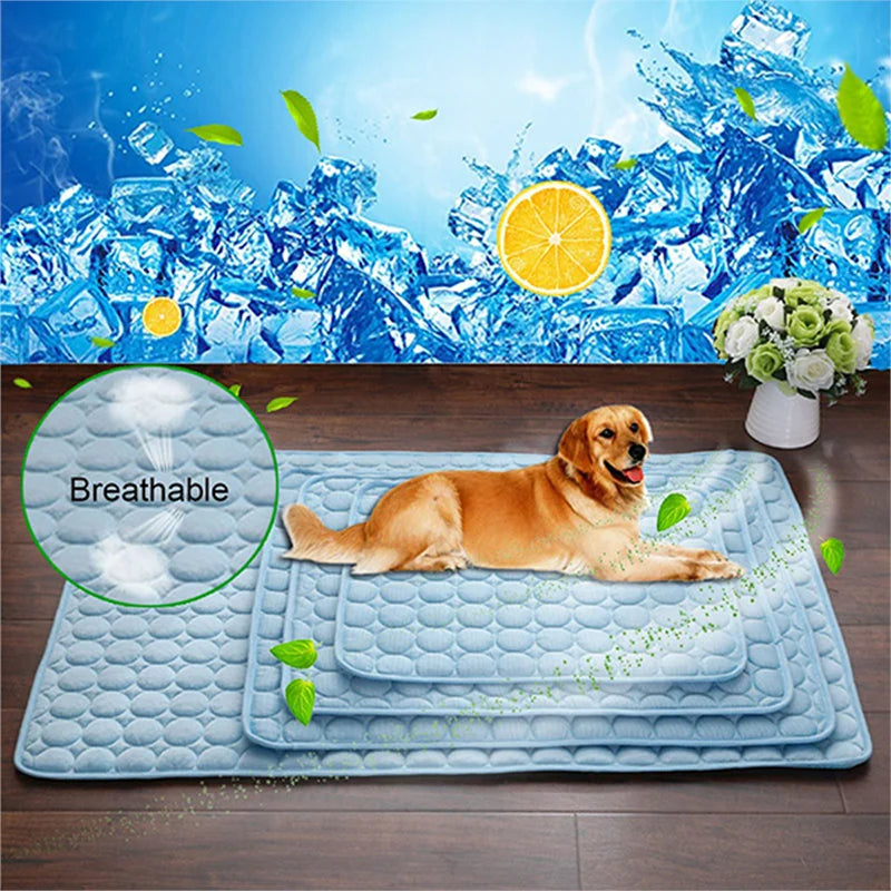 Soft Pet Blanket