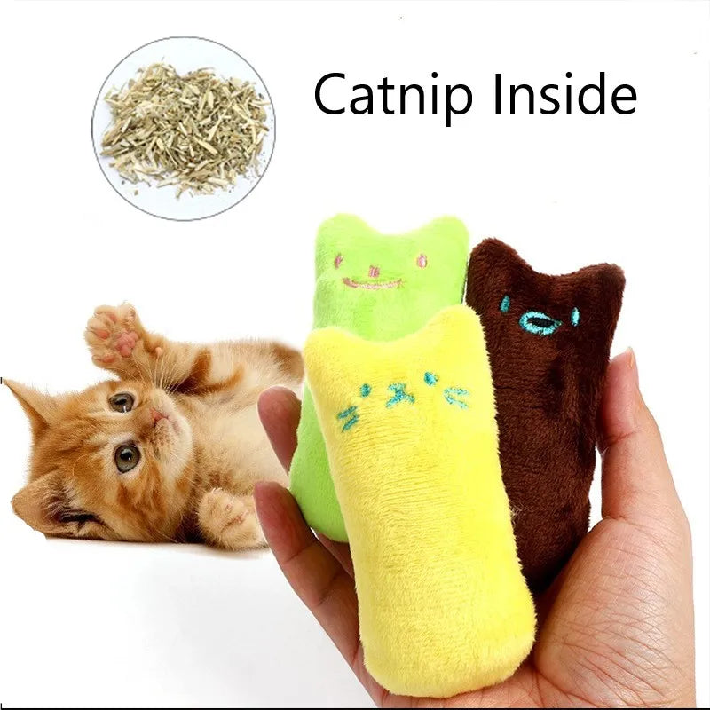 Interactive Pet Toy