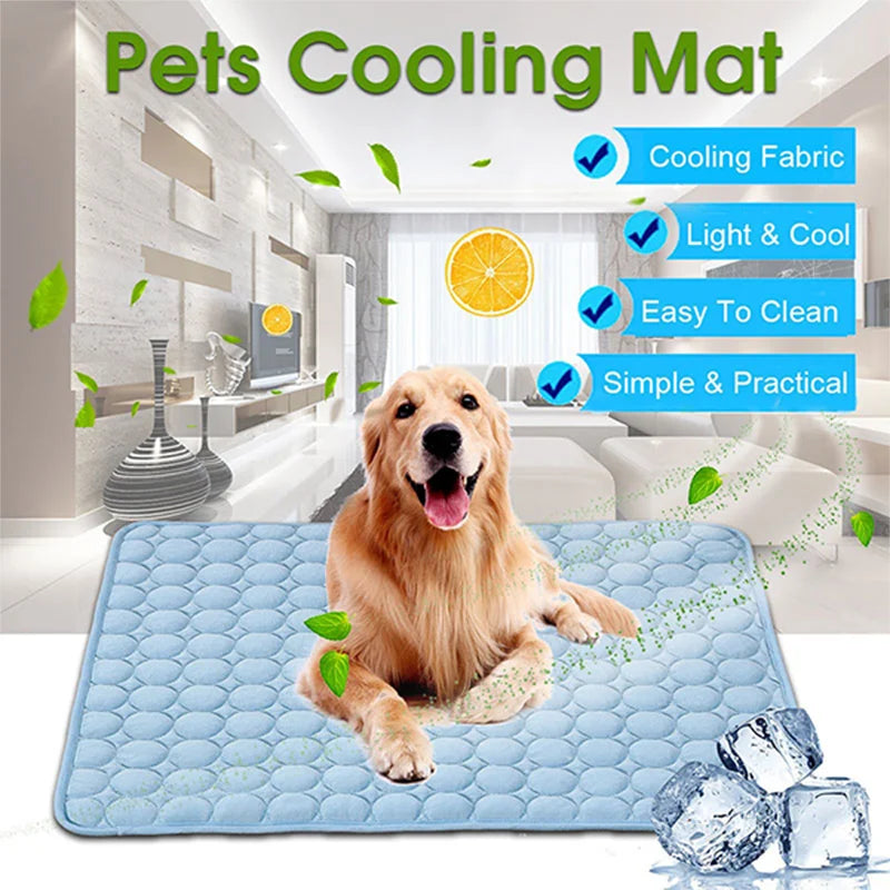 Soft Pet Blanket
