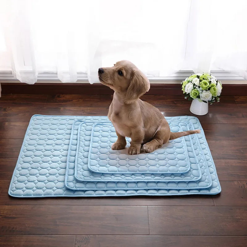 Soft Pet Blanket