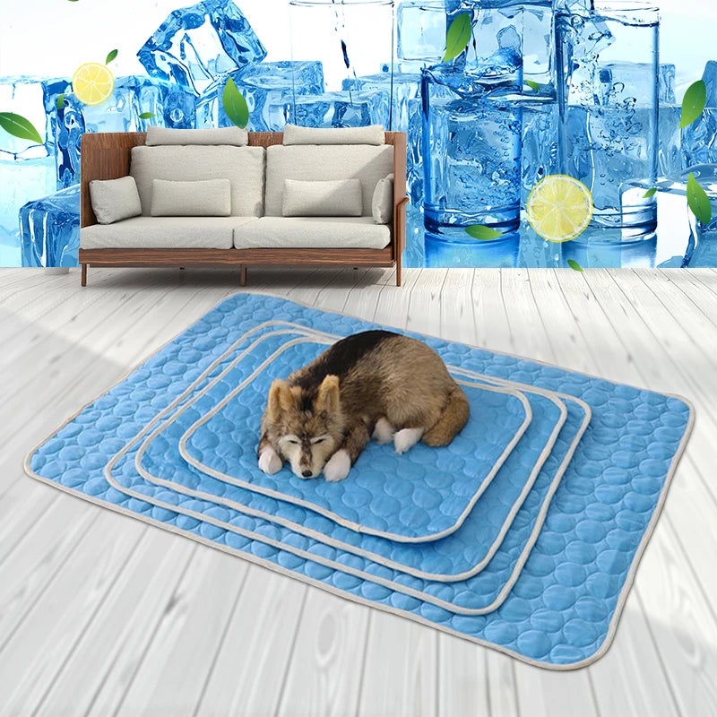 Soft Pet Blanket