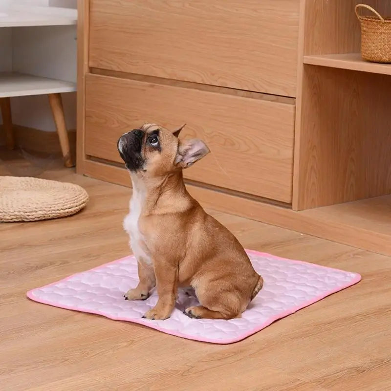 Soft Pet Blanket
