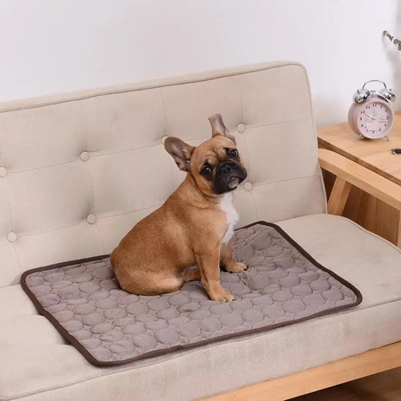 Soft Pet Blanket
