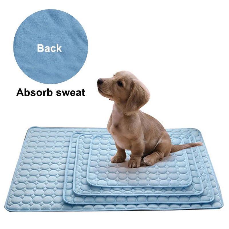 Soft Pet Blanket