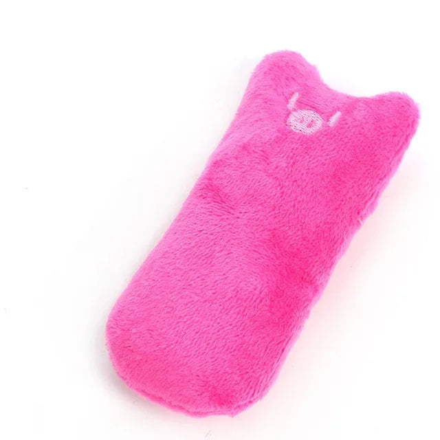 Interactive Pet Toy