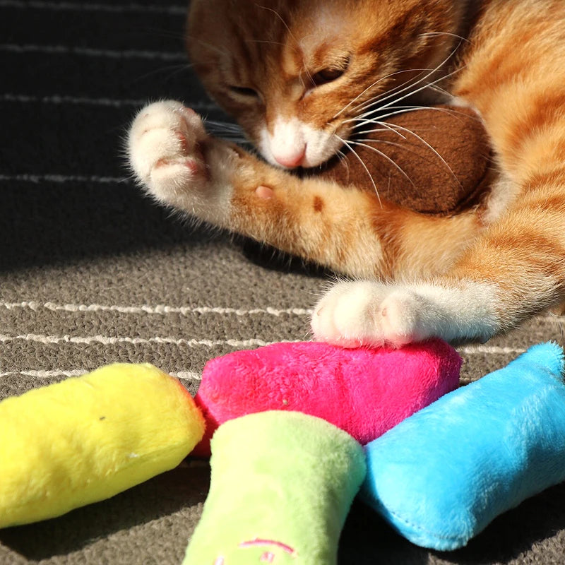 Interactive Pet Toy