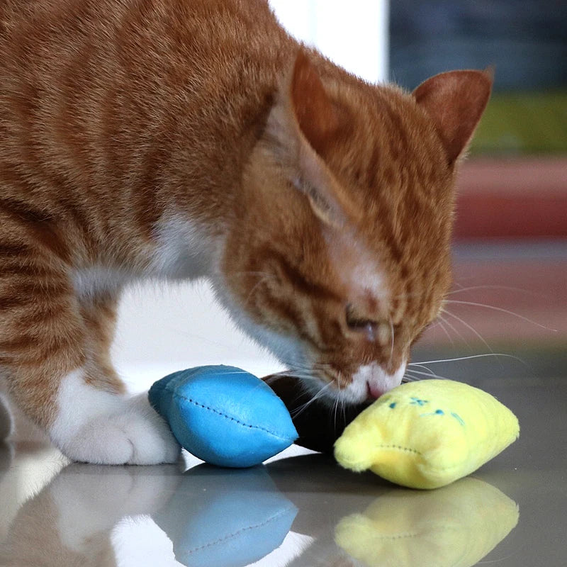 Interactive Pet Toy