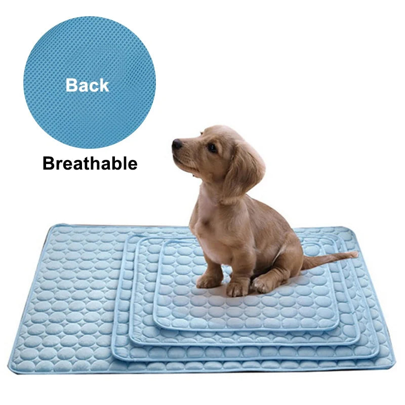 Soft Pet Blanket