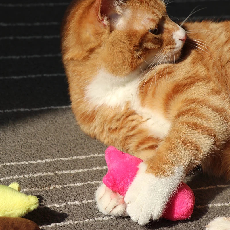 Interactive Pet Toy