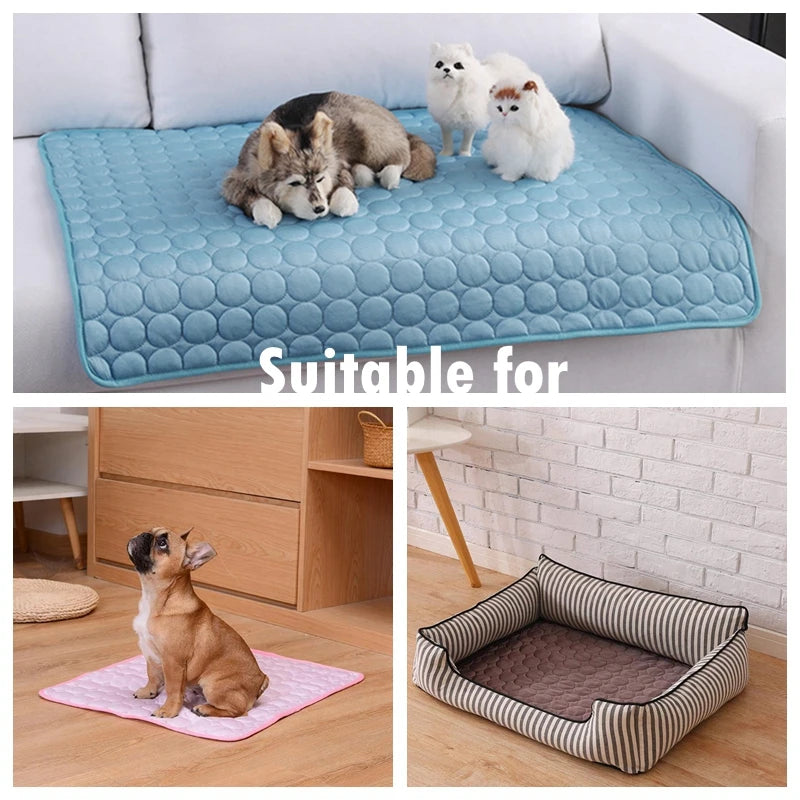Soft Pet Blanket