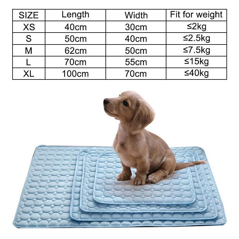 Soft Pet Blanket
