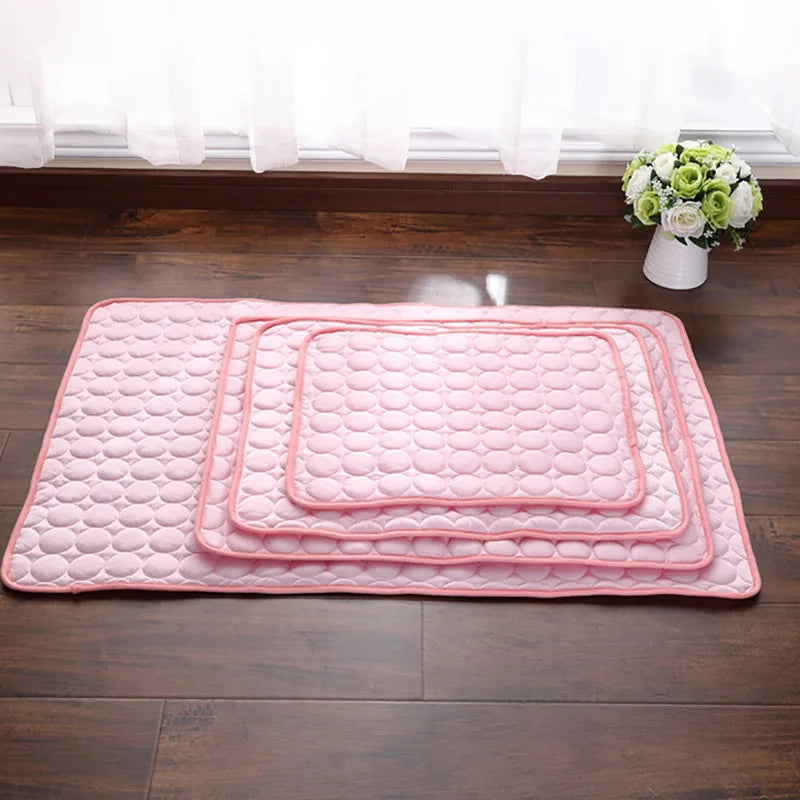 Soft Pet Blanket