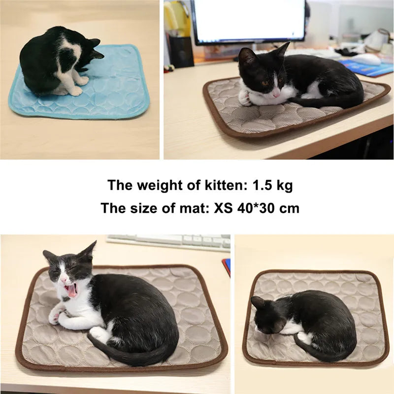Soft Pet Blanket
