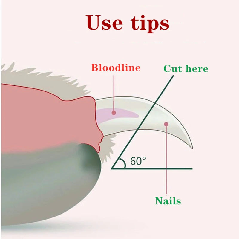 Pet Grooming Brush
