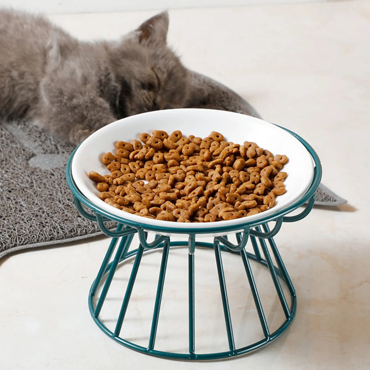 Pet Feeding Bowl