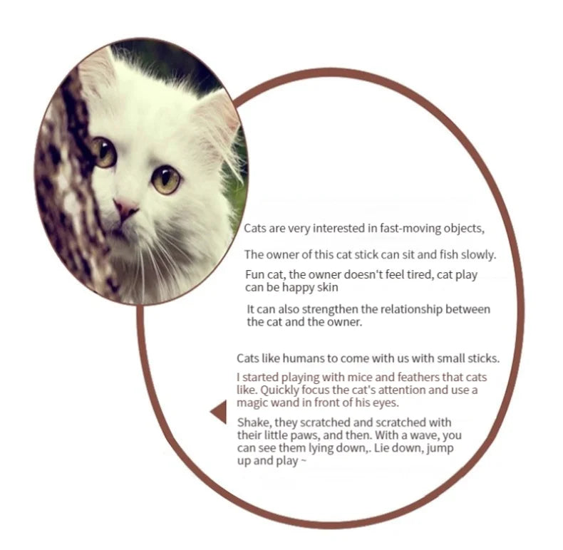 Interactive Pet Toy