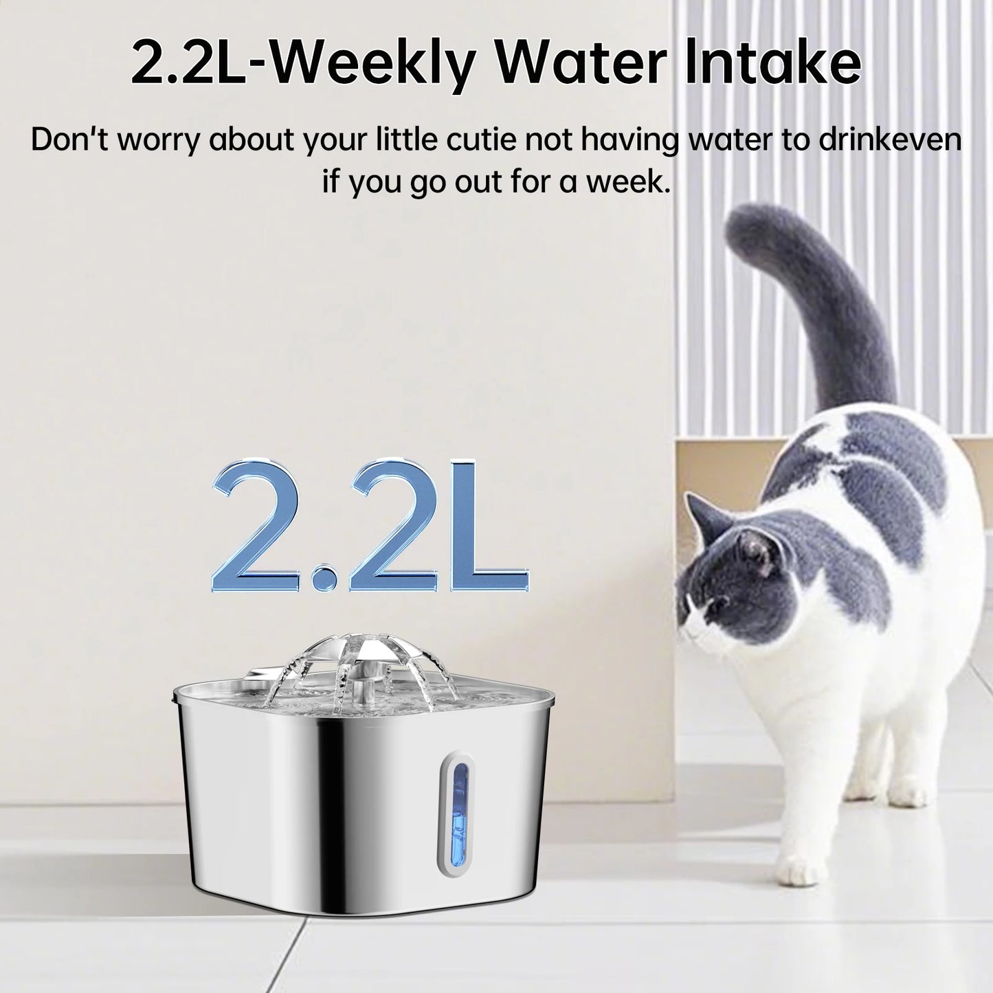 Pet Water Fountain