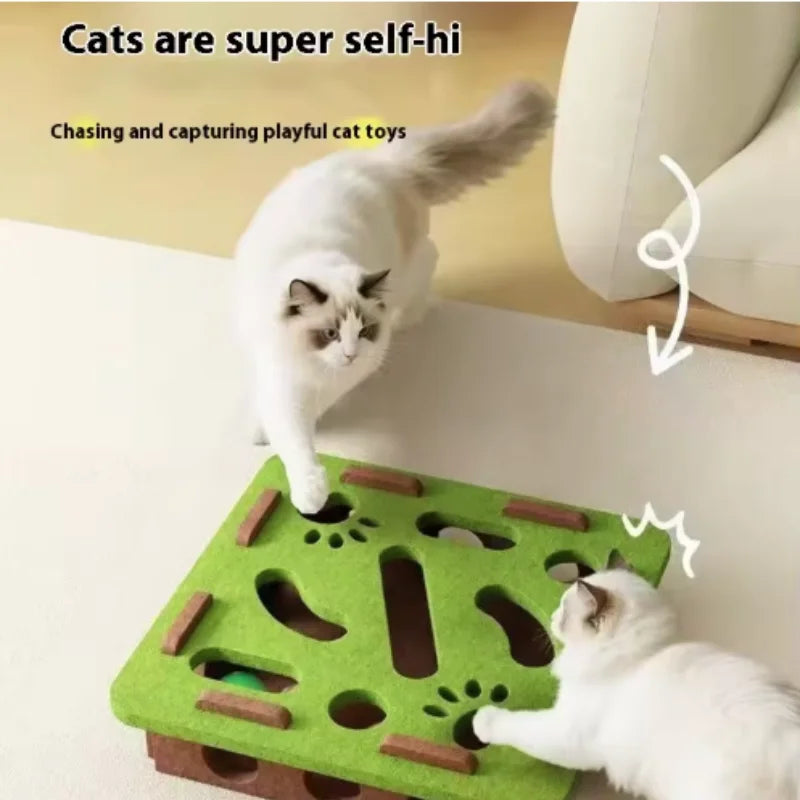 Interactive Pet Ball Toy
