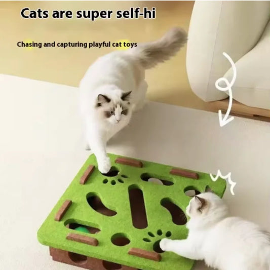 Interactive Pet Ball Toy