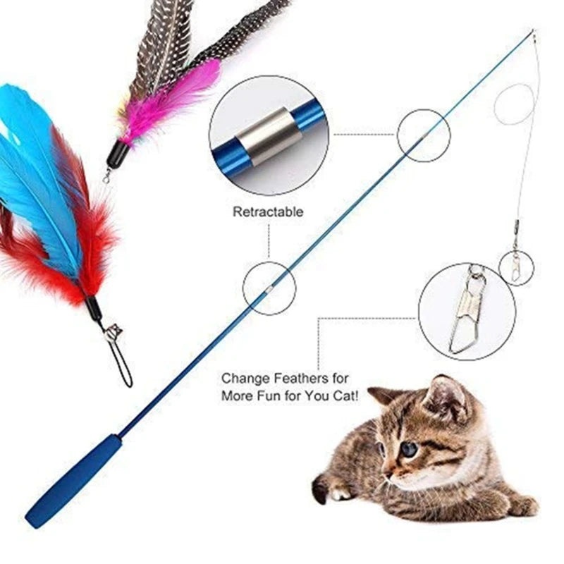 Interactive Pet Toy