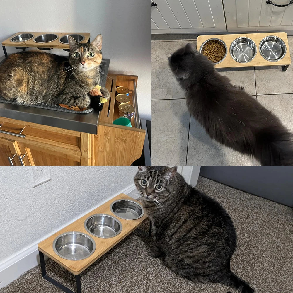 Pet Feeding Bowl