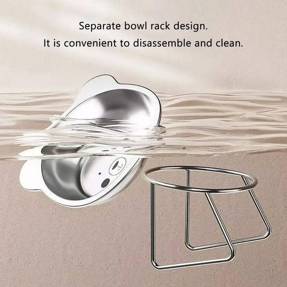 Pet Feeding Bowl
