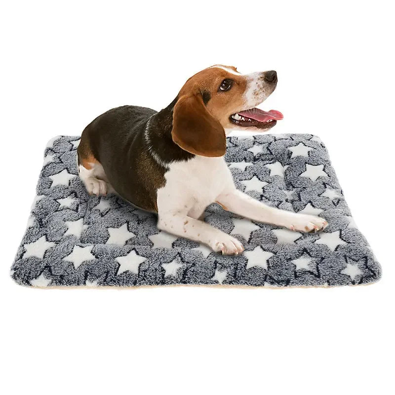 Soft Pet Blanket