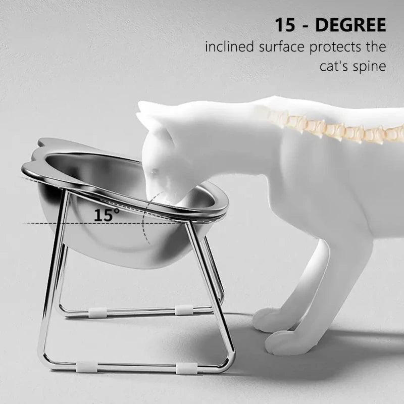Pet Feeding Bowl