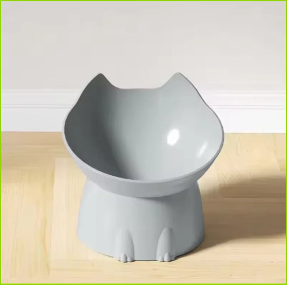 Pet Feeding Bowl