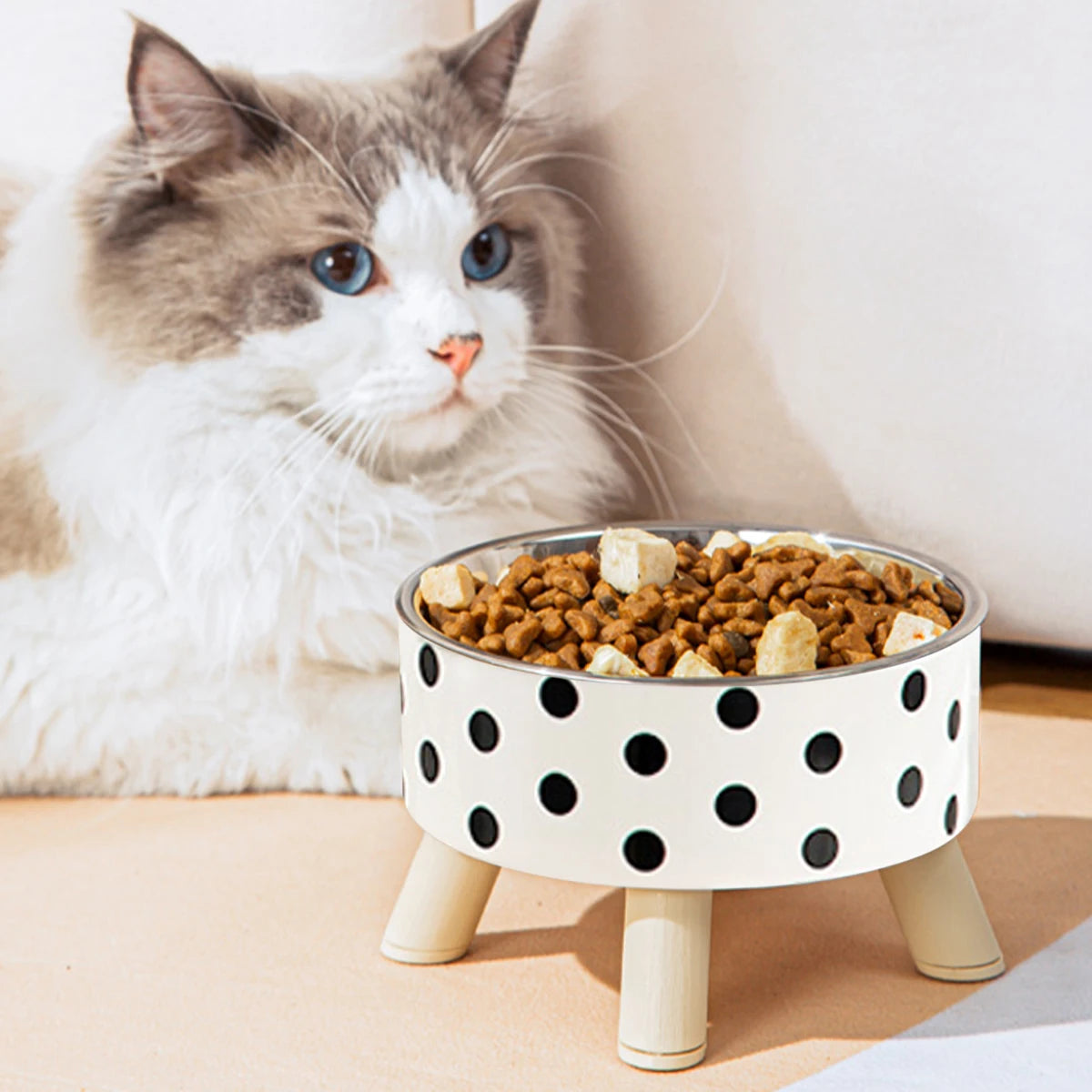 Pet Feeding Bowl