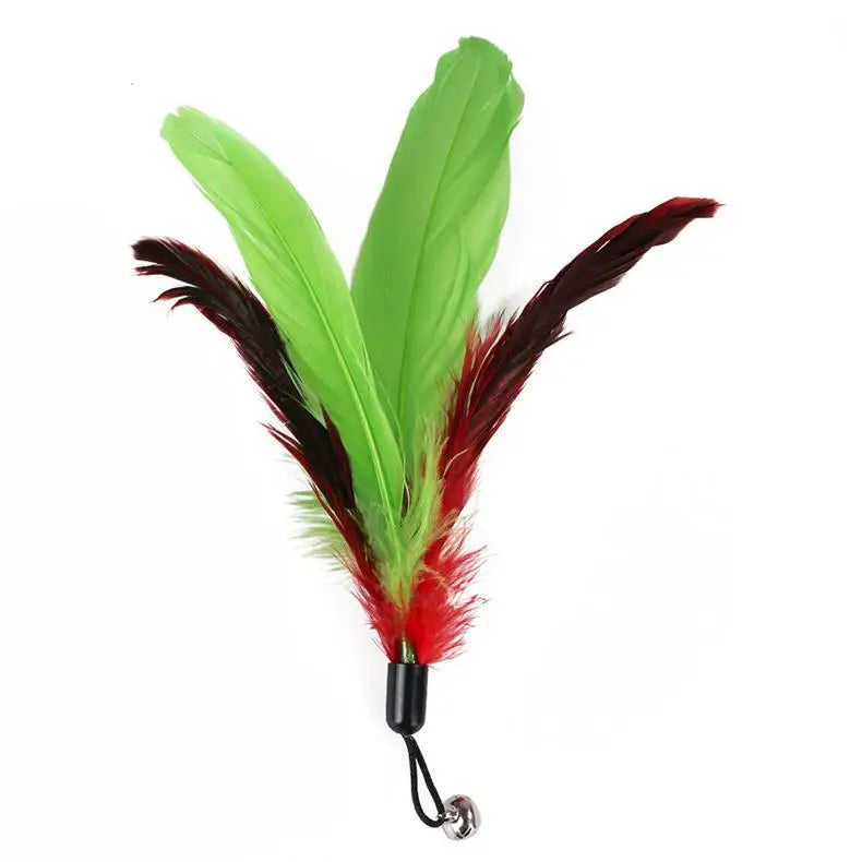 Interactive Pet Toy