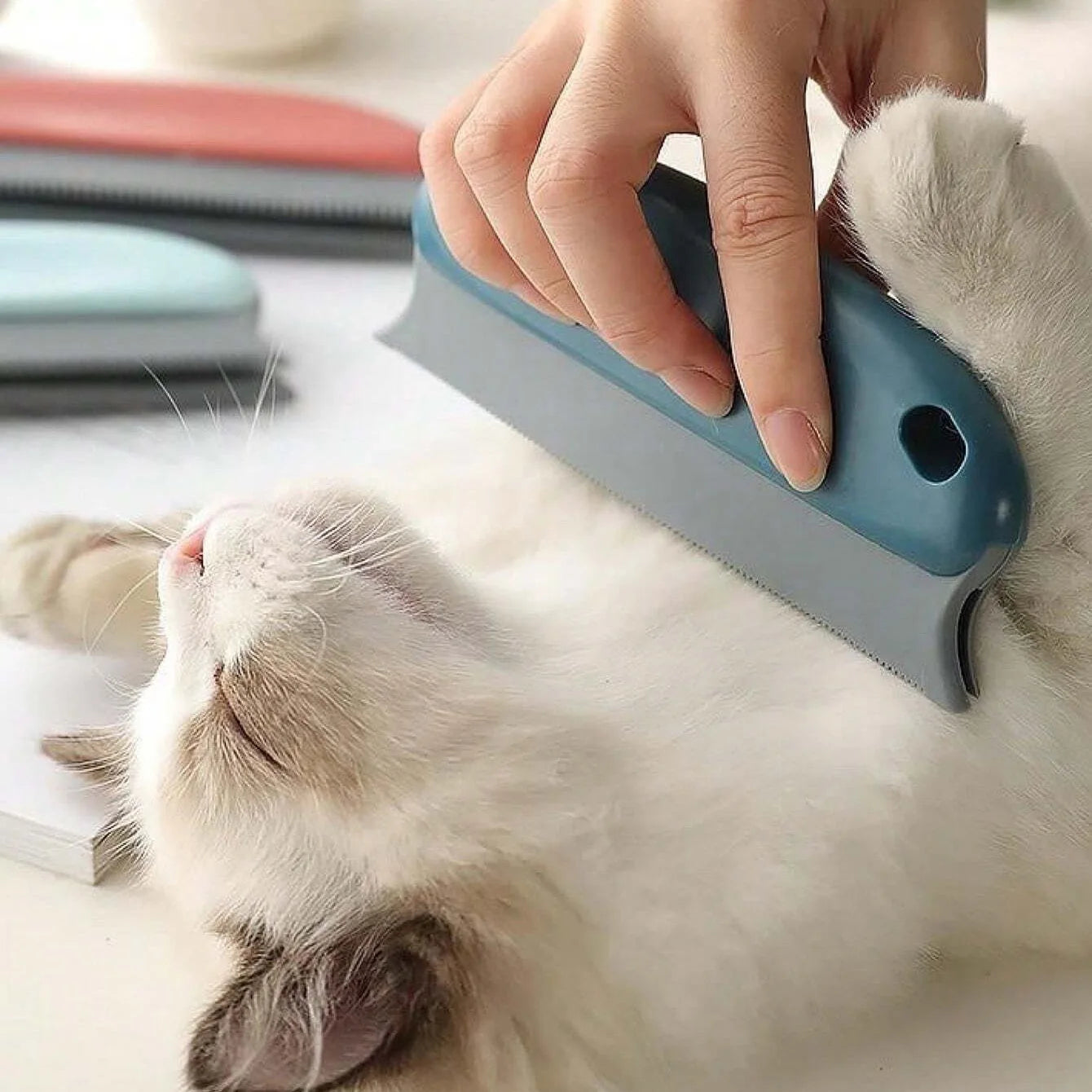 Self-Cleaning Pet Brush