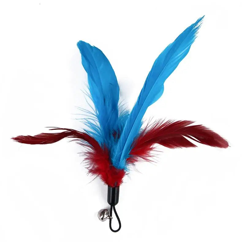Interactive Pet Toy