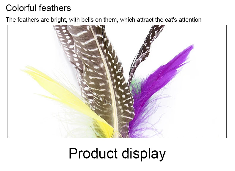 Interactive Pet Toy