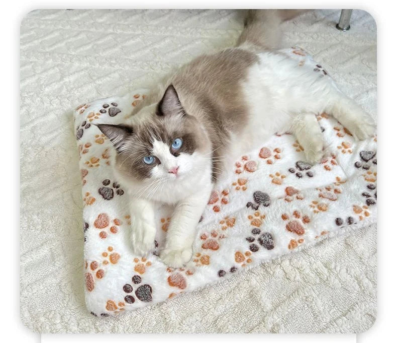 Soft Pet Blanket