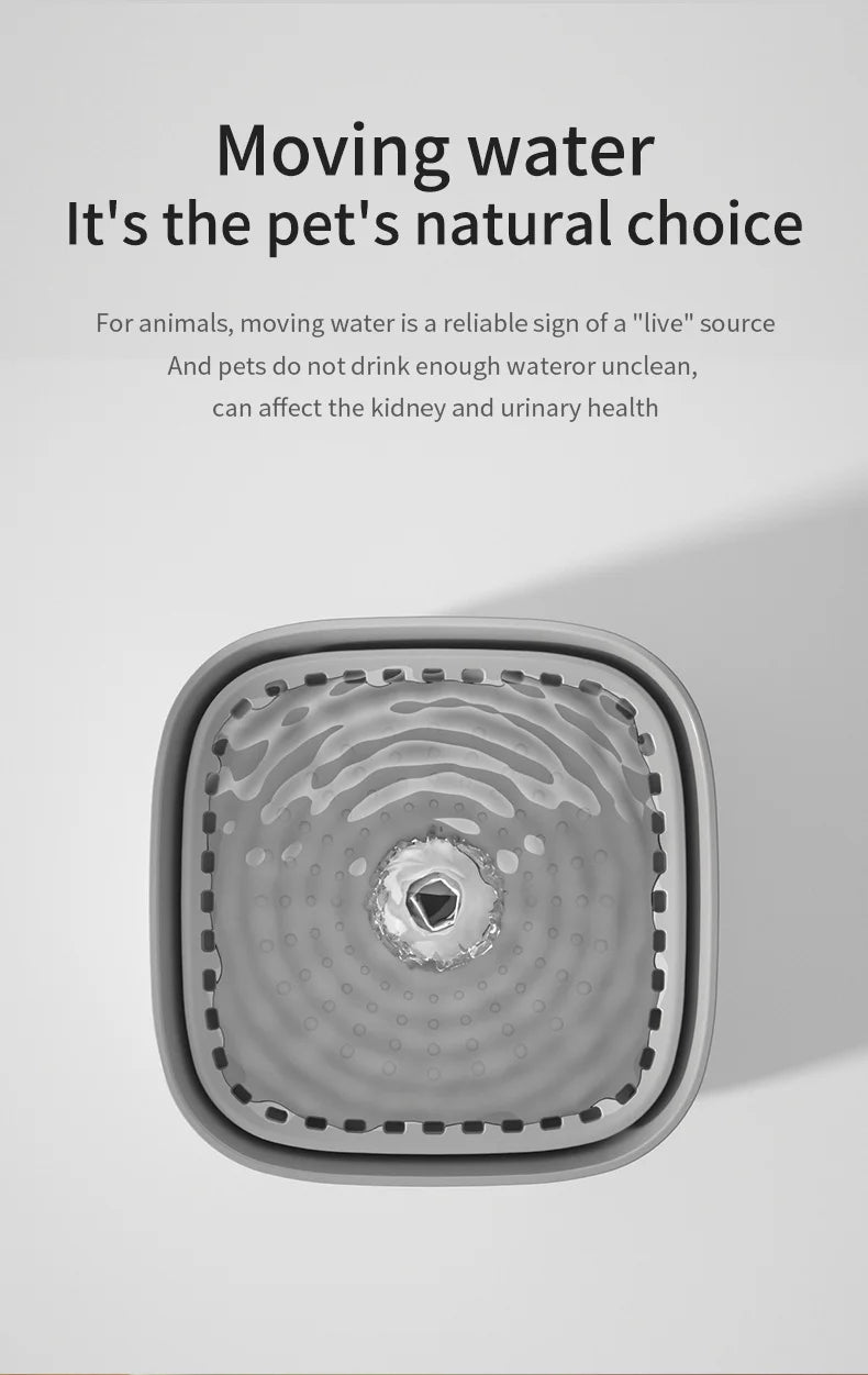 Pet Water Fountain