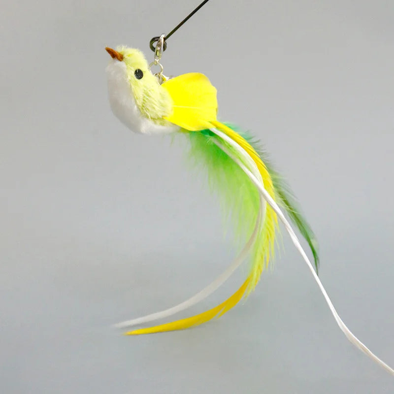 Interactive Pet Toy
