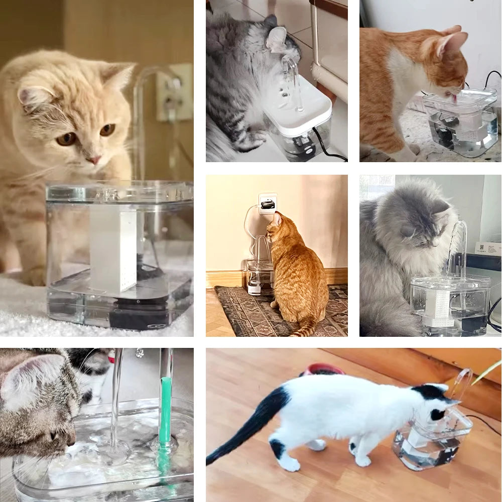 Pet Water Fountain