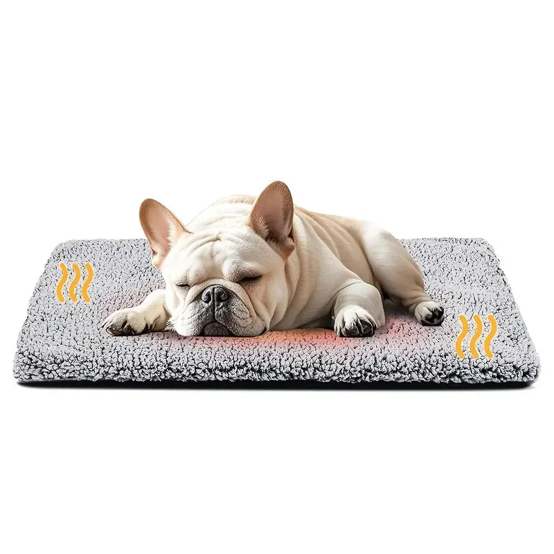 Soft Pet Blanket