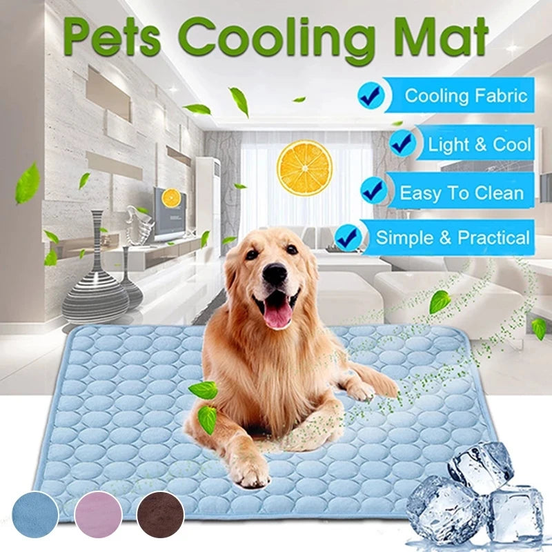 Soft Pet Blanket