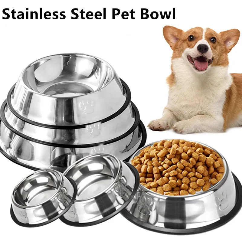 Pet Feeding Bowl
